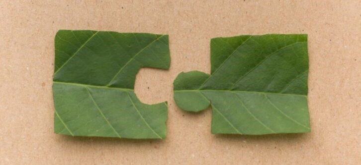 Foto impactmakerschapshandleiding